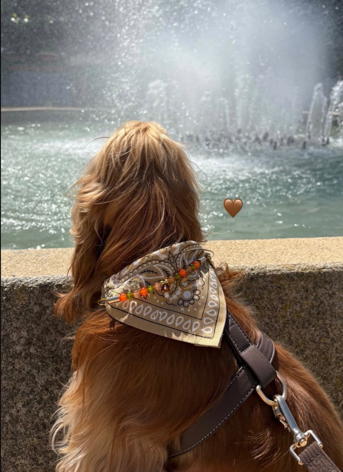 Fall In Love beige bandana collar for dogs and cats