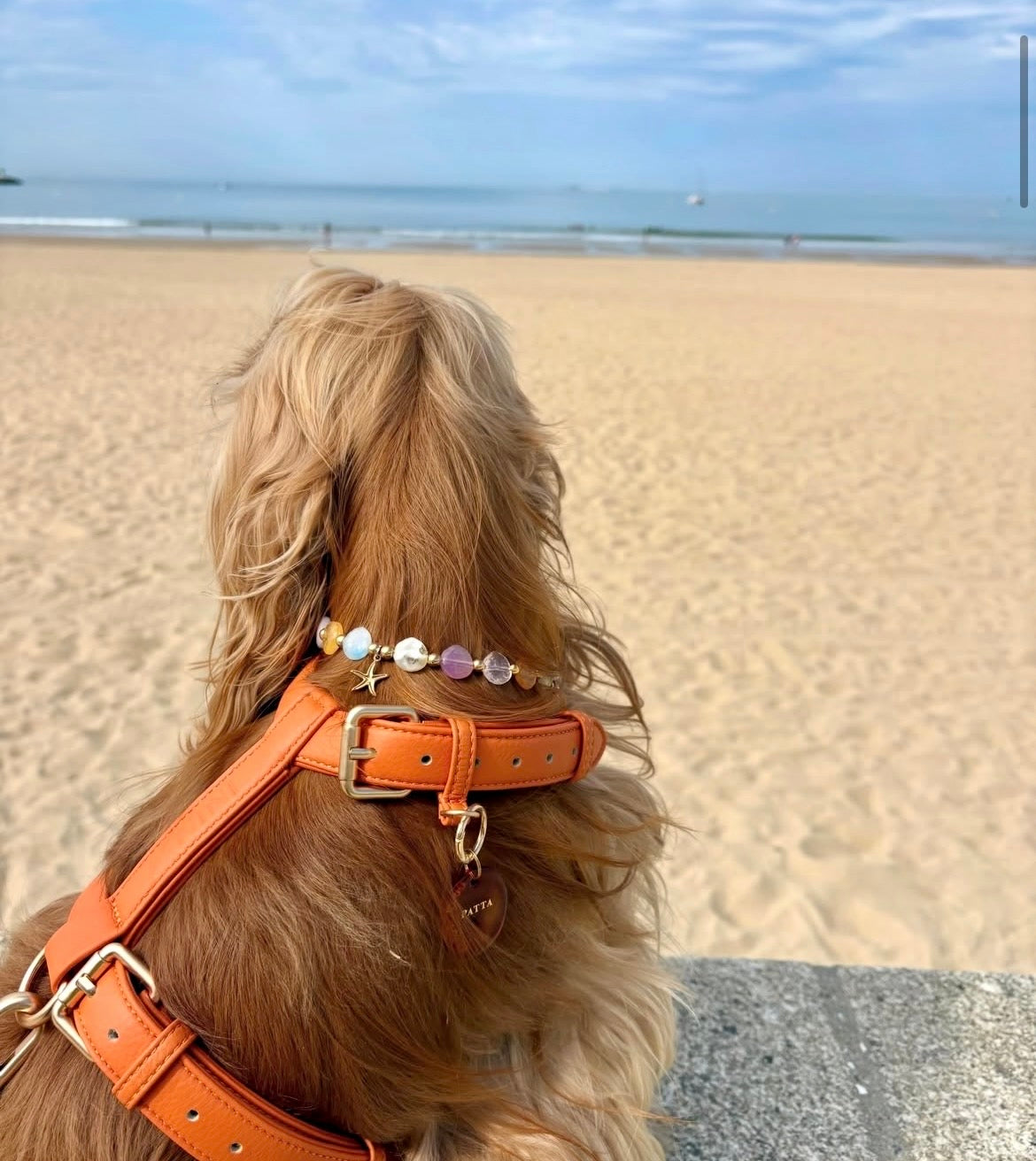 Calypso Pearl Collar for Dogs and Cats