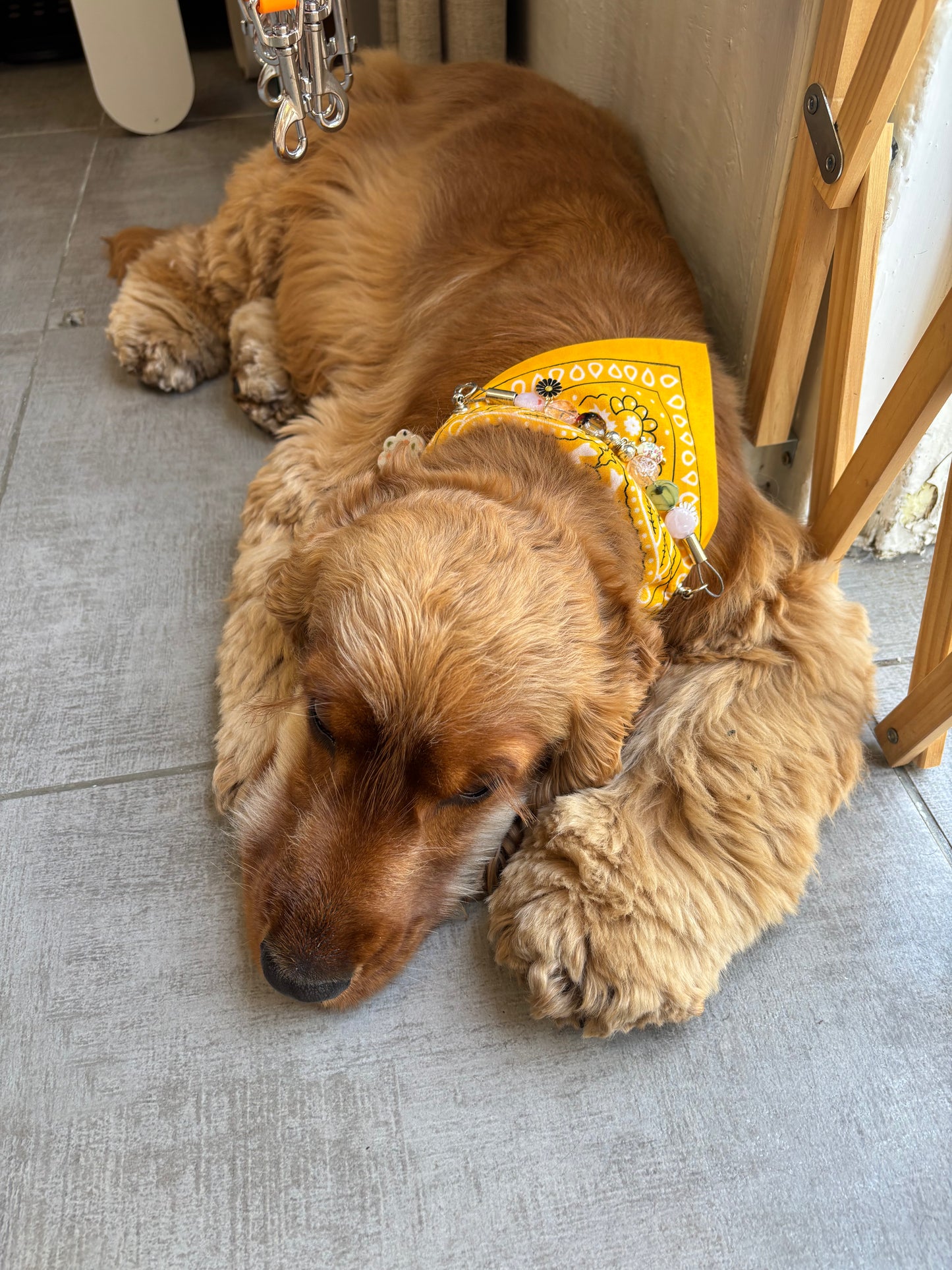 Bandana-Collier jaune Arizona pour chien et chat