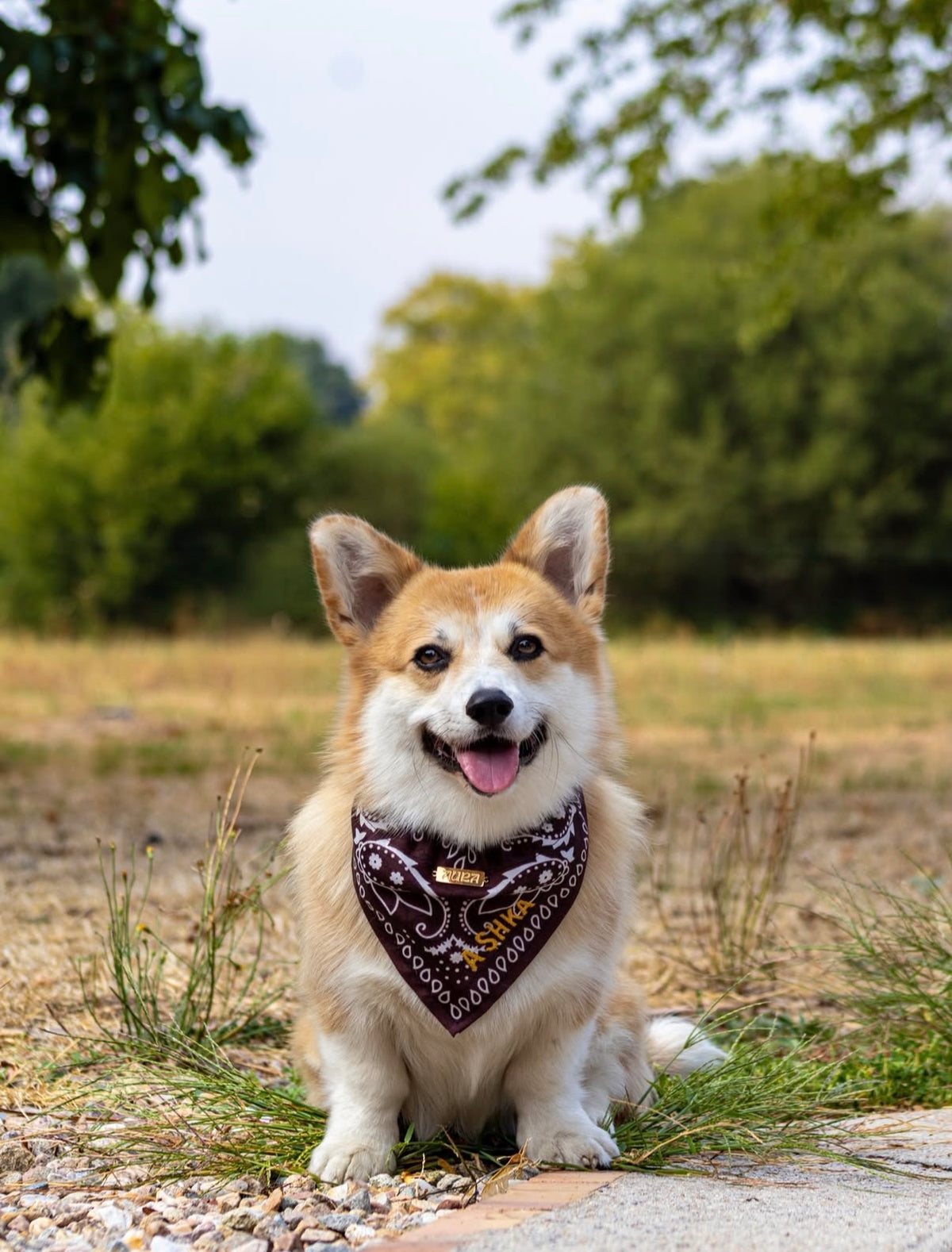 Collier Bandana brodé à personnaliser