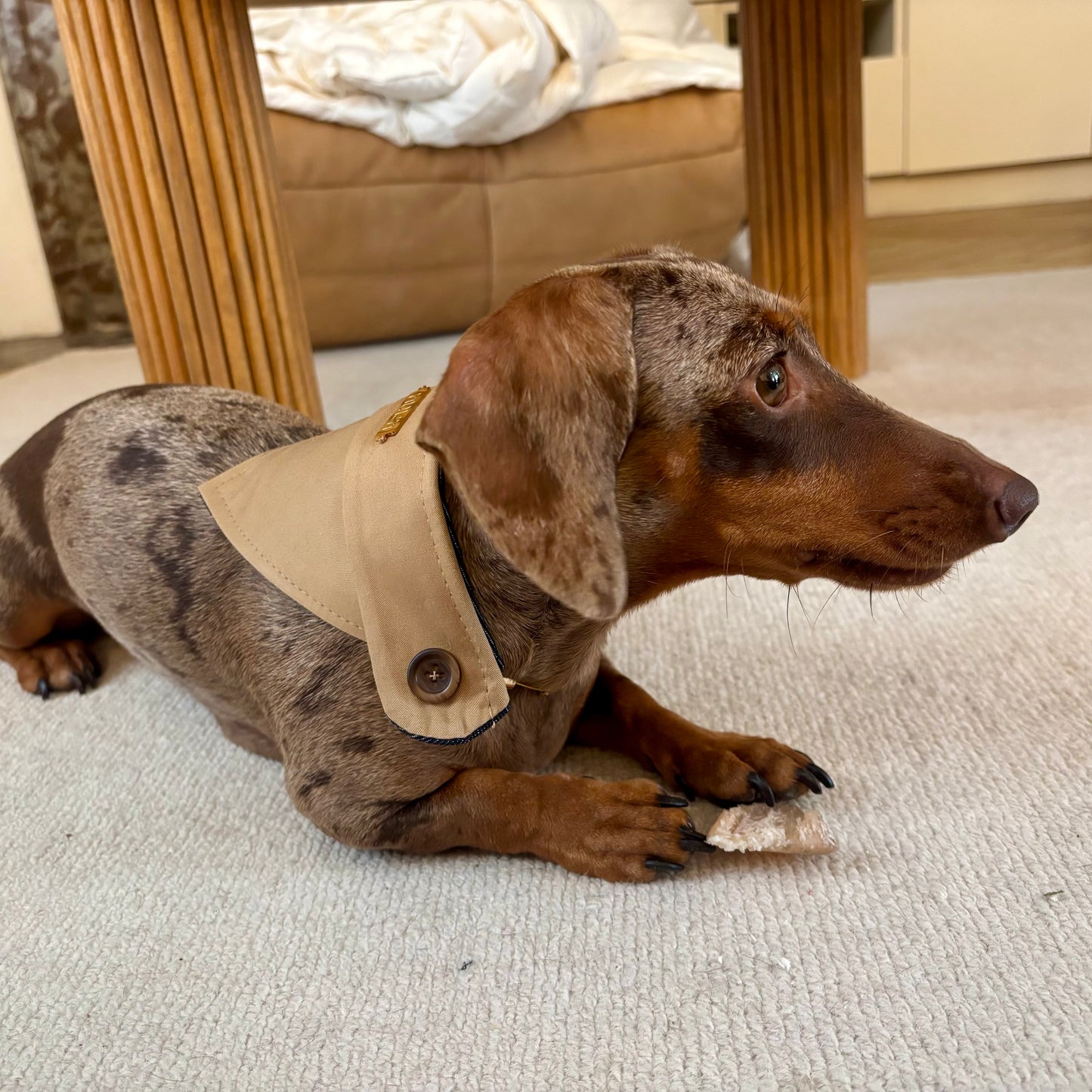 Bandana-Collier Trench pour chiens