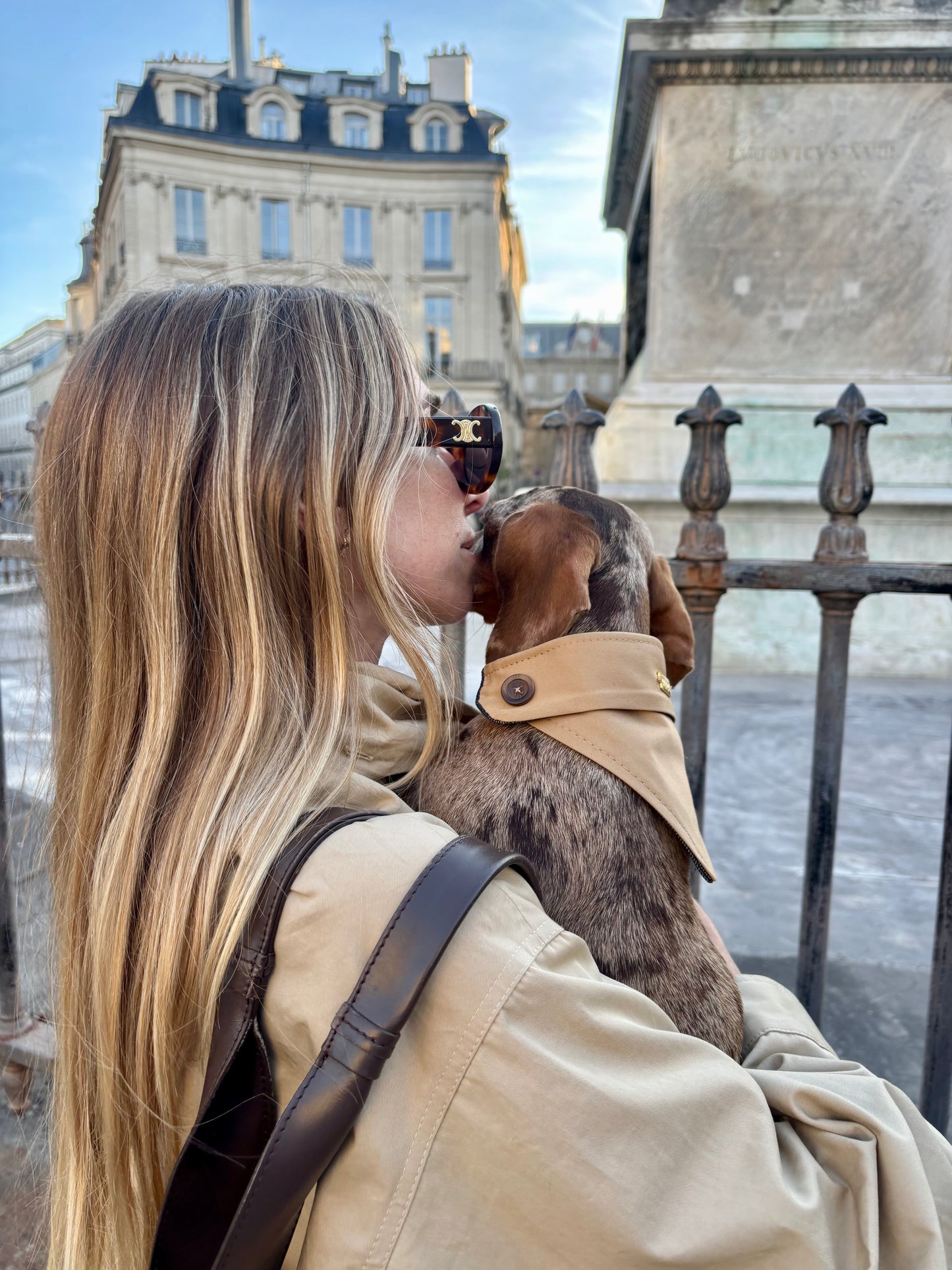 Bandana-Collier Trench pour chiens