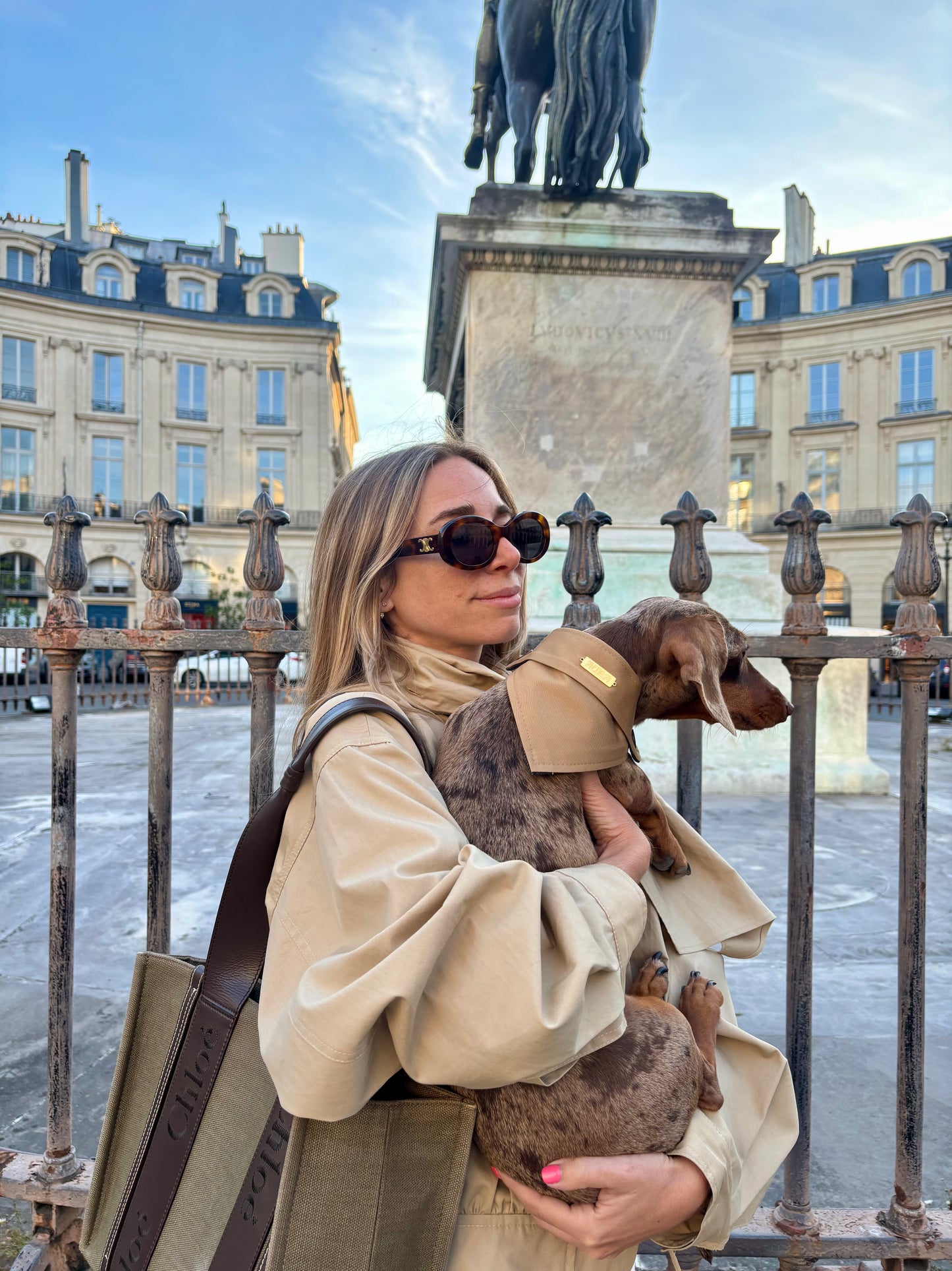Bandana-Collier Trench pour chiens