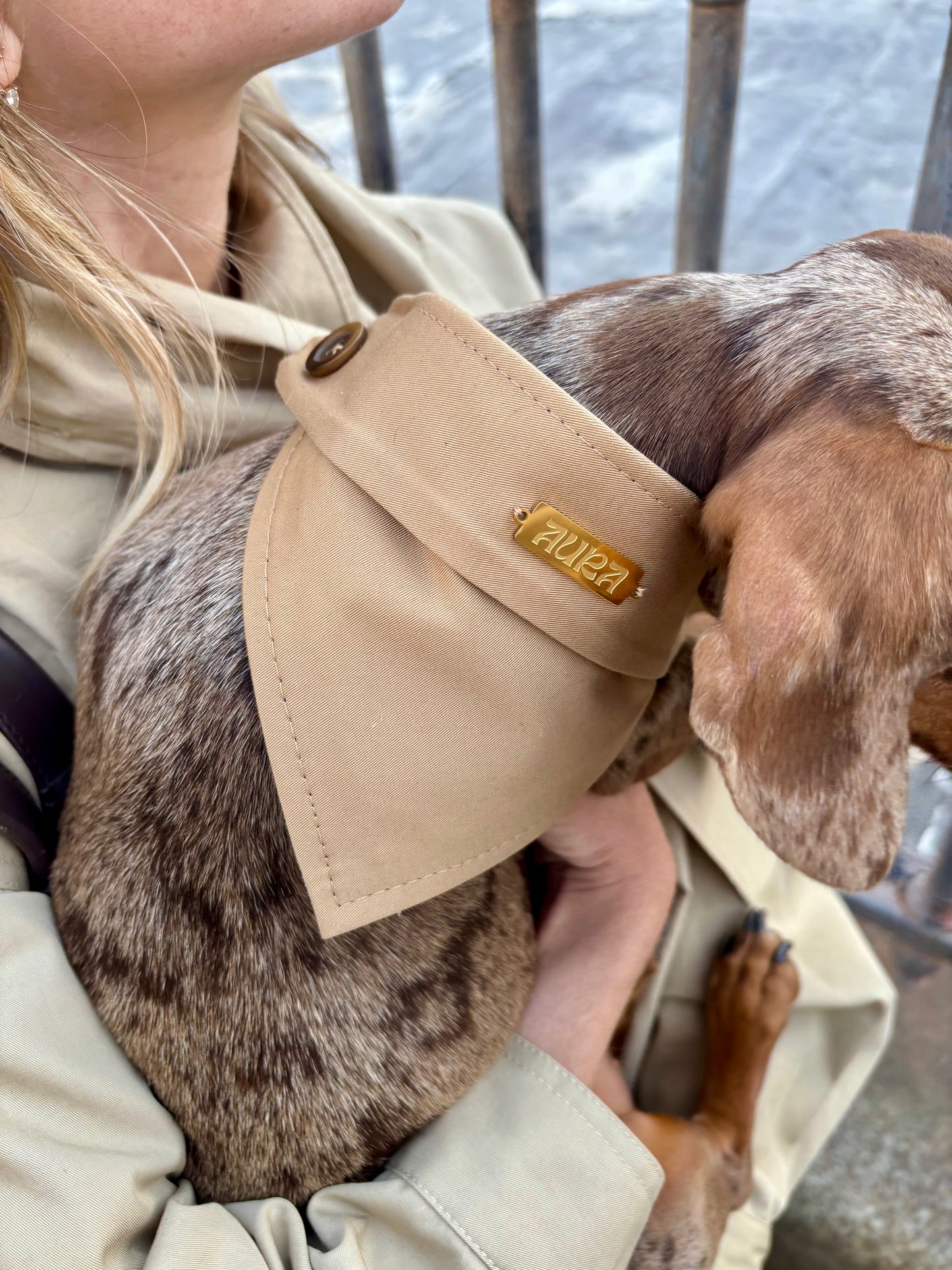 Bandana-Collier Trench pour chiens