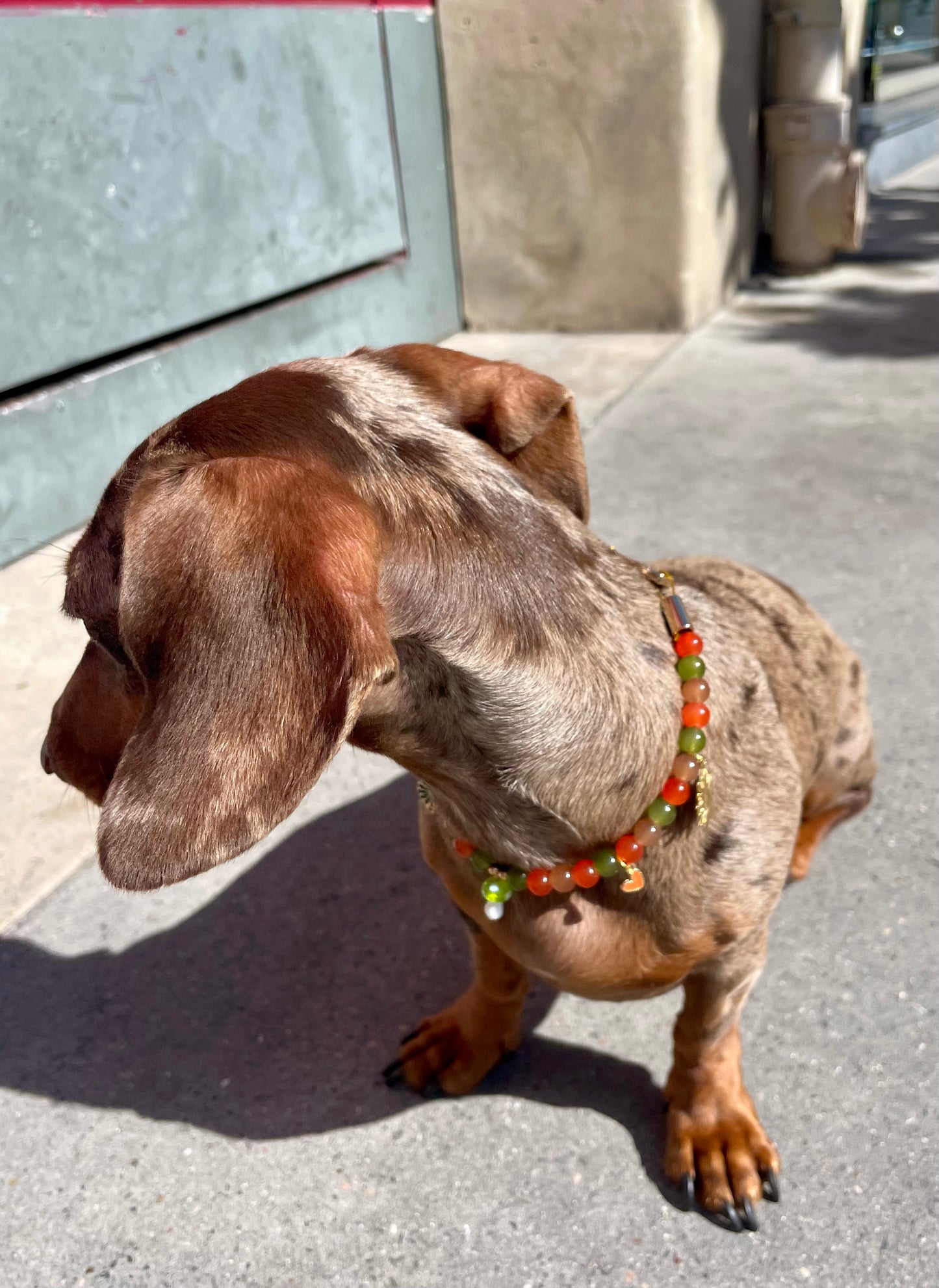 Collier en perles pour chien et chat Fall In Love