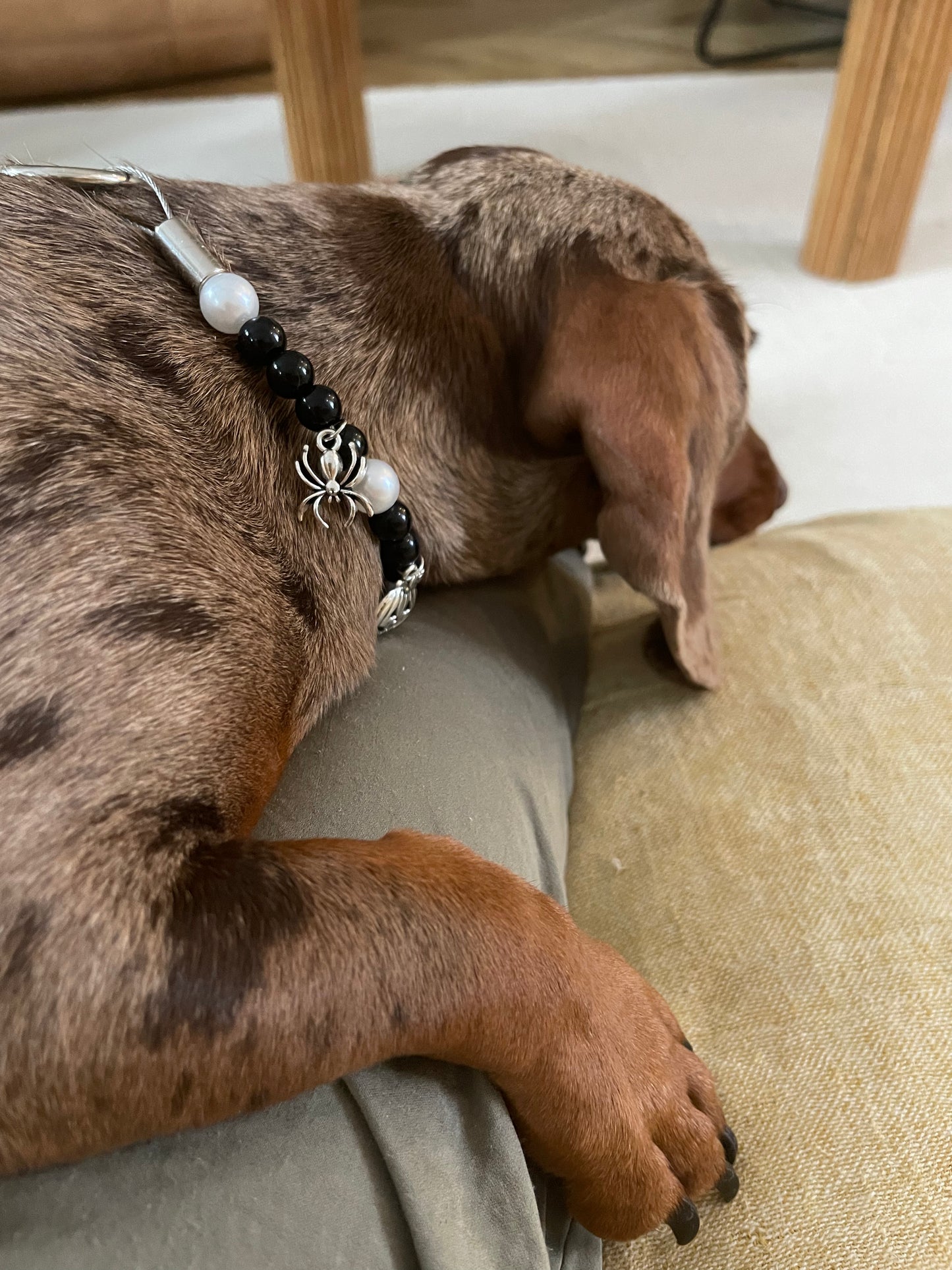 Collier en perles pour chien et chat spécial Halloween
