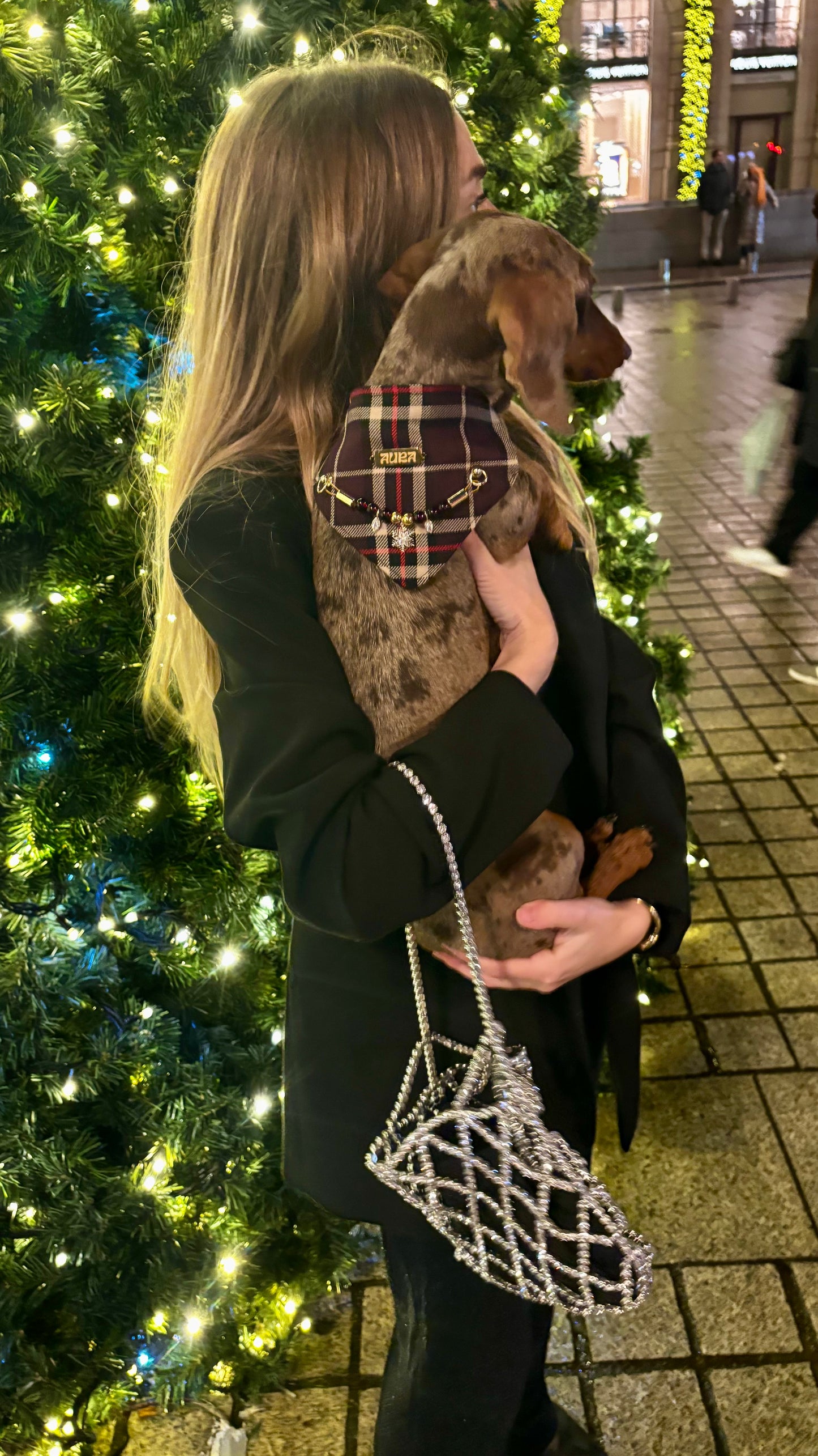 Bandana-Collier Tartan Bijou