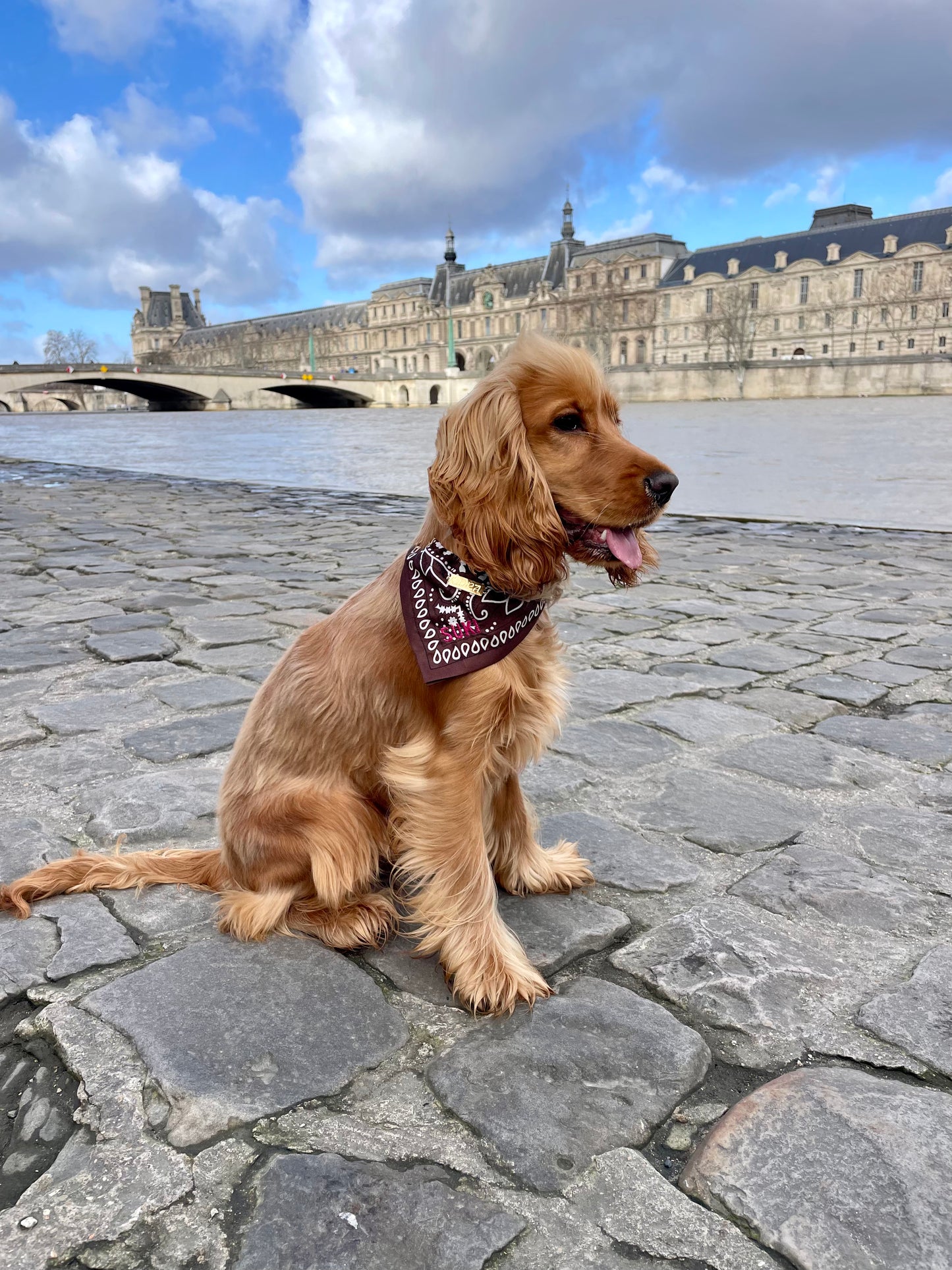 100% Personalized Bandana Necklace