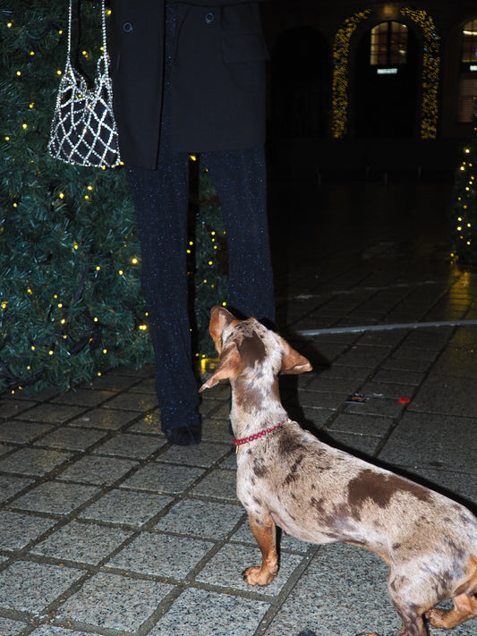Collier en perles pour chien Céleste