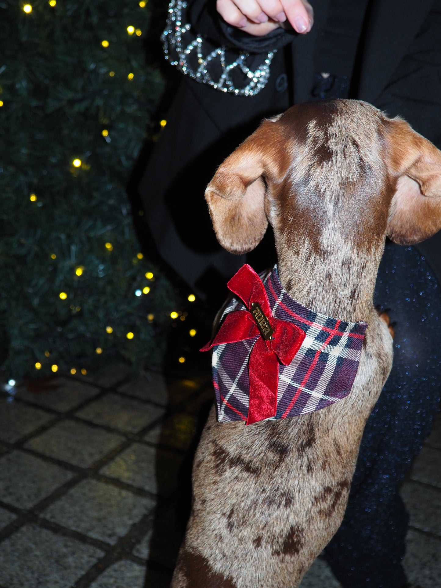 Bandana-Collier Tartan Noeud bordeaux