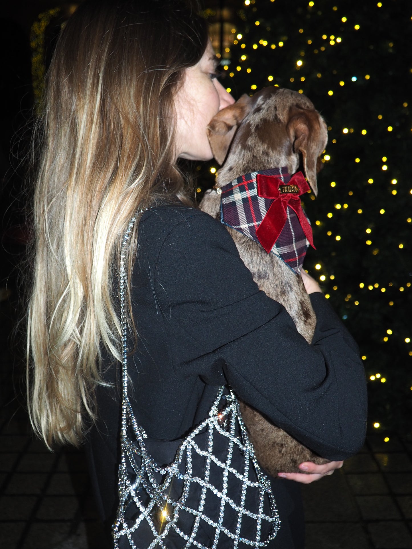 Bandana-Collier Tartan Noeud bordeaux