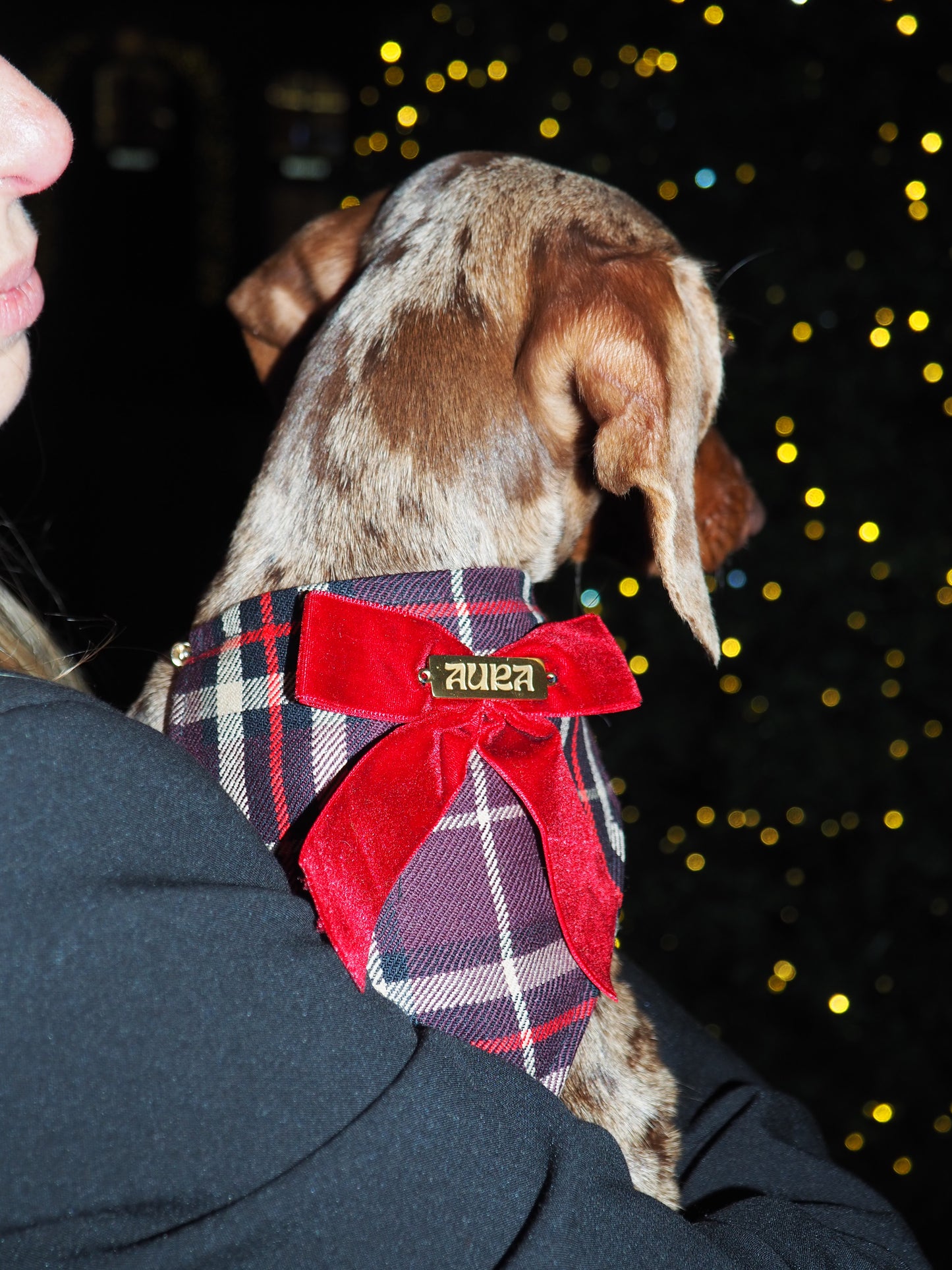 Bandana-Collier Tartan Noeud bordeaux