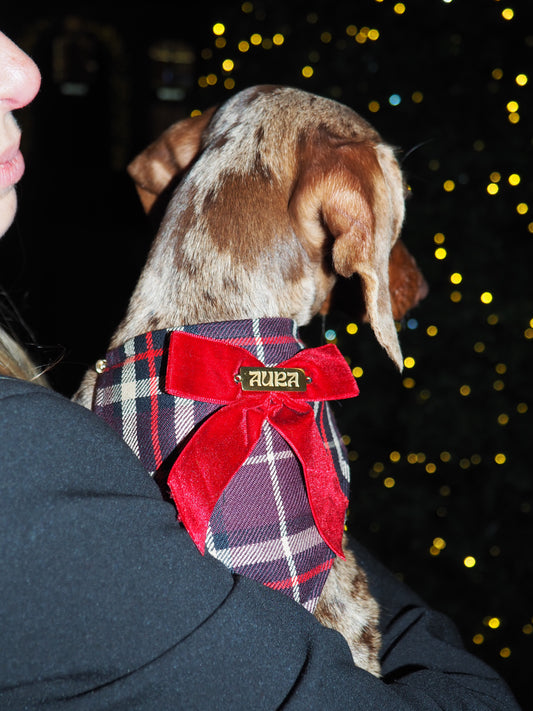 Bandana-Collier Tartan Noeud bordeaux