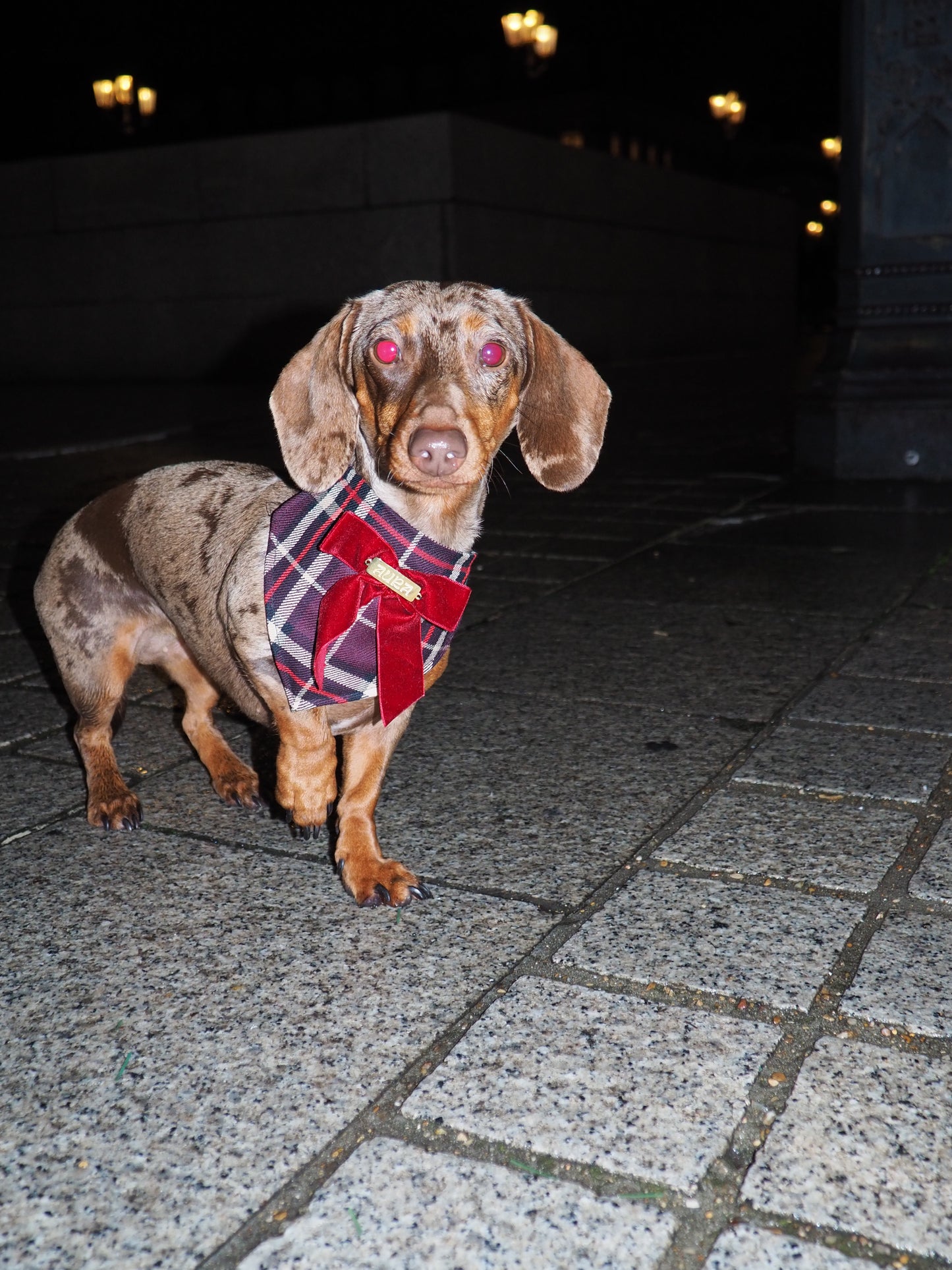 Bandana-Collier Tartan Noeud bordeaux