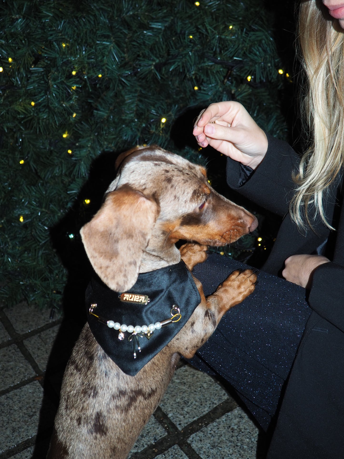 Bandana-Collier Velours Noir Précieux