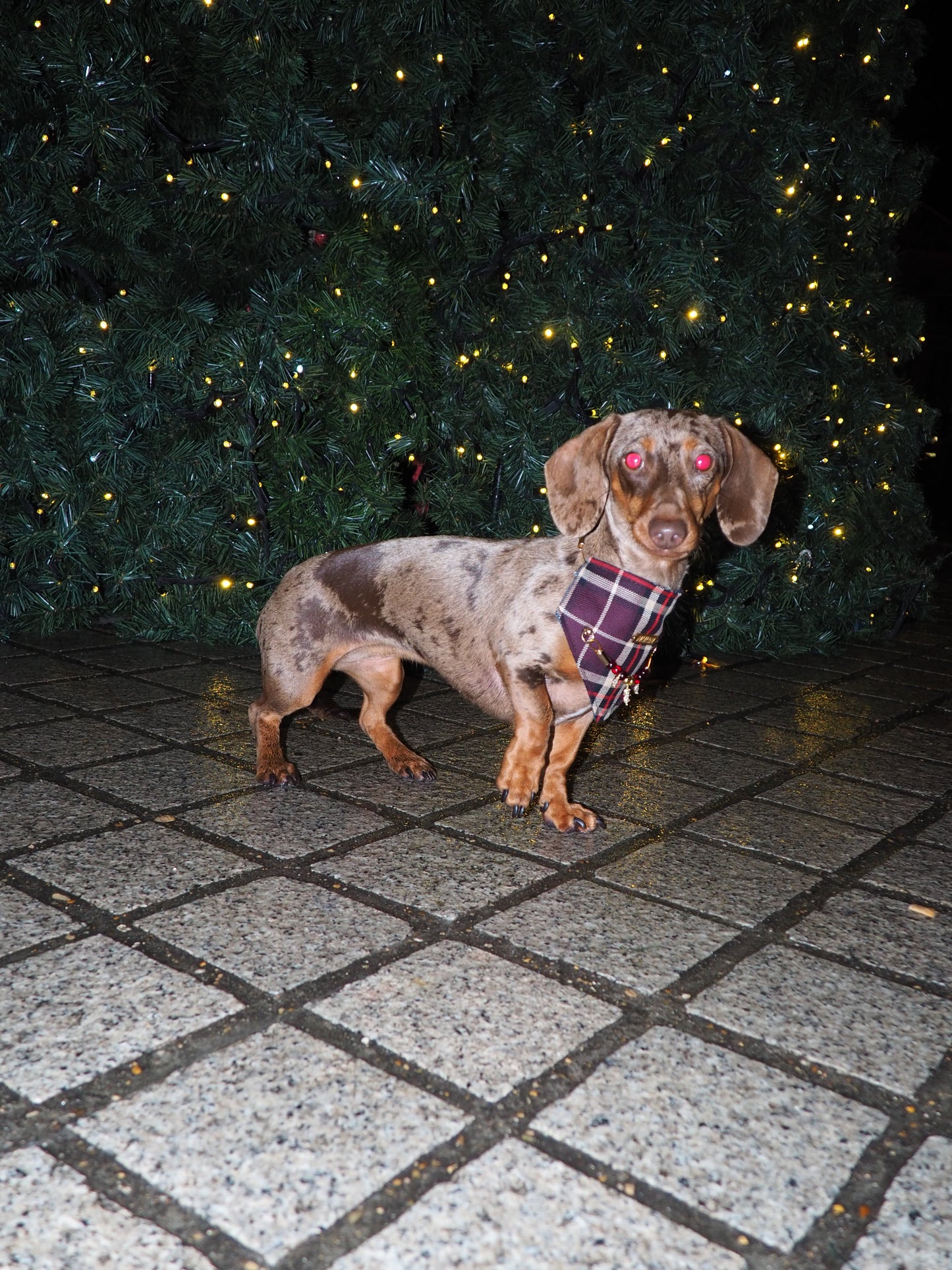 Bandana-Collier Tartan Bijou