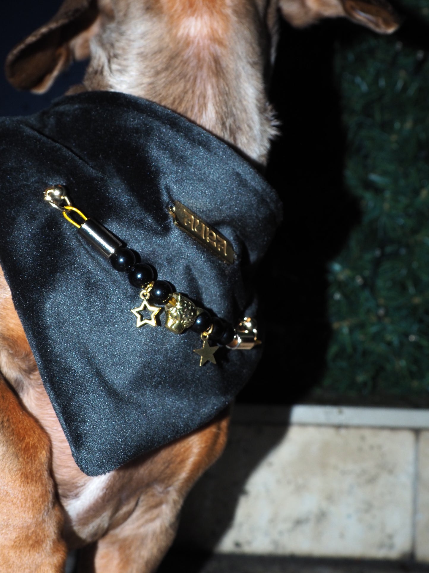 Bandana-Collier Velours Noir Impérial