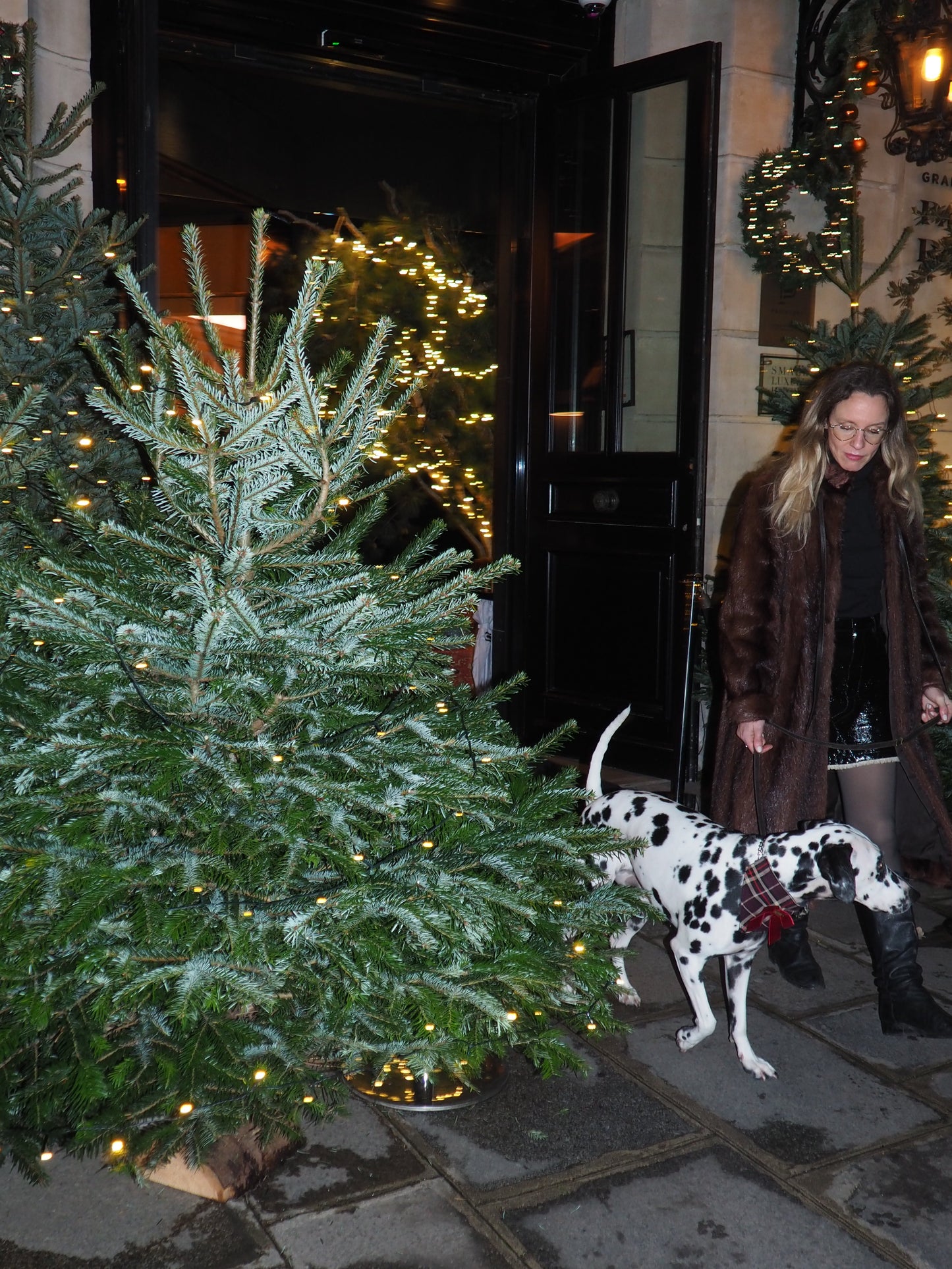 Bandana-Collier Tartan Noeud bordeaux