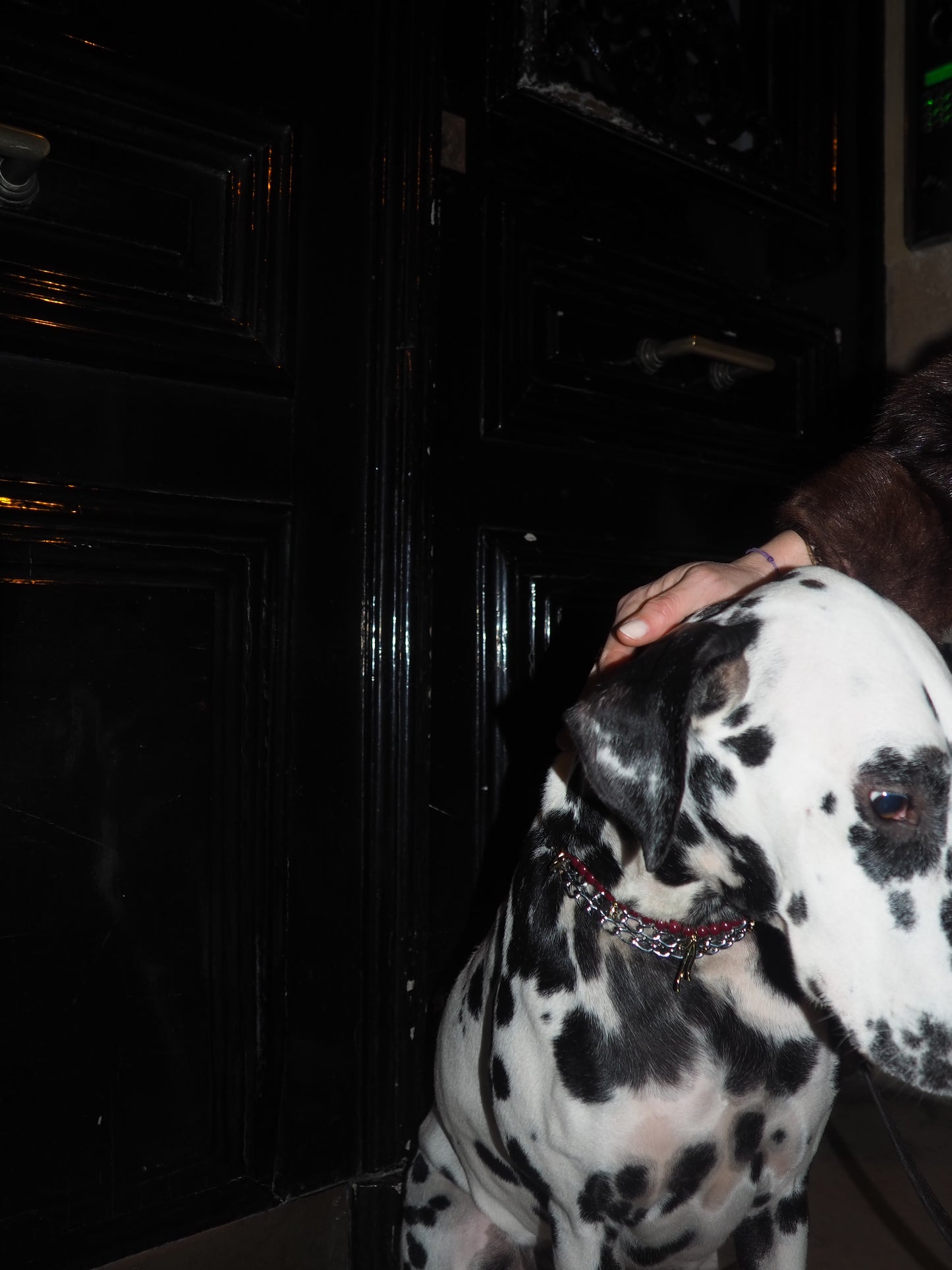 Celeste beaded dog collar