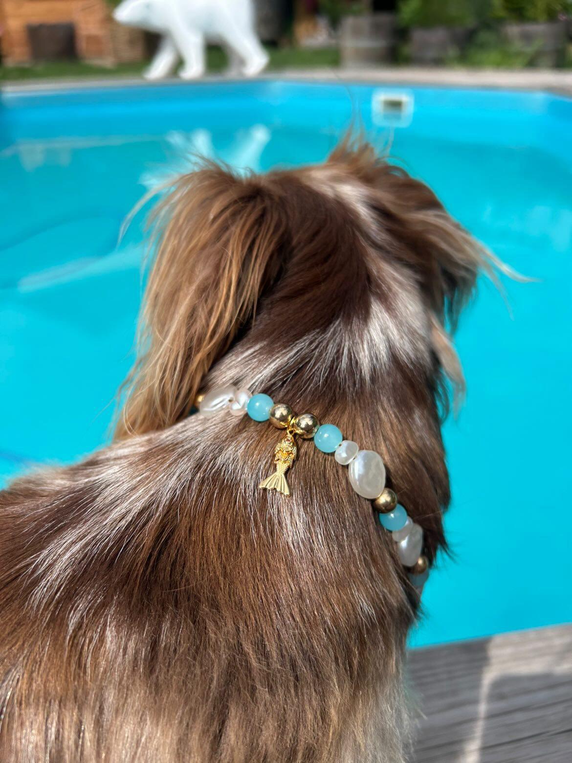 Collier en perles pour chien French Riviera